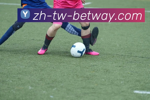 BETWAY必威官网APP 封面图